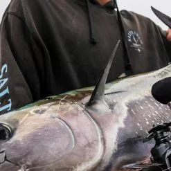 Daiwa Lexa TW Bait Casting Reel