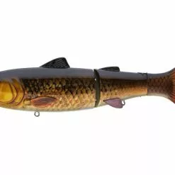 Baitsanity Explorer Glide Gen 2