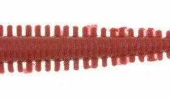 Berkley Gulp Sandworms Soft Plastics