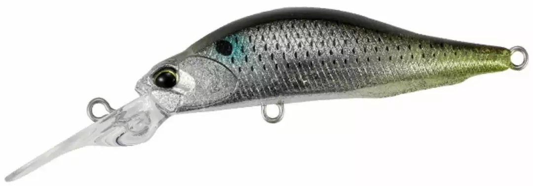Duo Realis Rozante Shad 57MR Freshwater 6 Duo Realis Rozante Shad 57MR Freshwater