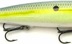 Strike King KVD Sexy Dawg Topwater