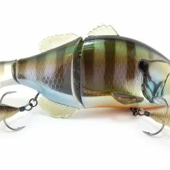 Freshwater Jackall Gantarel 16 Freshwater Jackall Gantarel