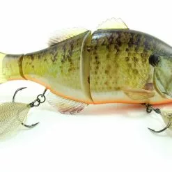 Freshwater Jackall Gantarel 17 Freshwater Jackall Gantarel