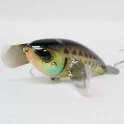 Freshwater Jackall Pompadour JR.