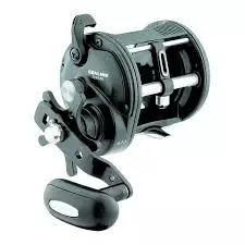 Daiwa Sealine Levelwind Conventional Reel