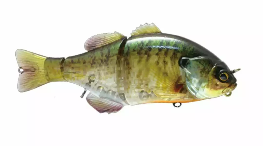 Jackall Gantarel Jr Bluegill Swimbait Freshwater 10 Jackall Gantarel Jr Bluegill Swimbait Freshwater
