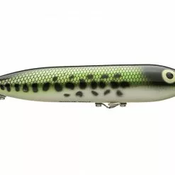 Heddon Zara Puppy Top Water Bait Freshwater