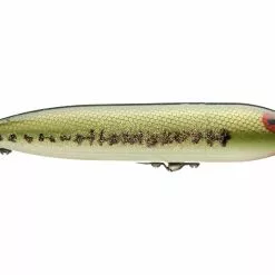 Freshwater Heddon Zara Spook Top Water Bait
