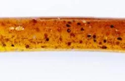 Freshwater Hookup Baits Replacement Bodies Medium