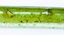 Freshwater Hookup Baits Replacement Bodies Medium