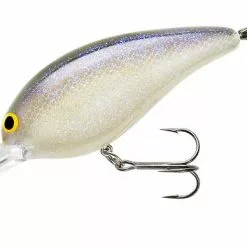 Norman Lures Norman Deep Little N Crankbait