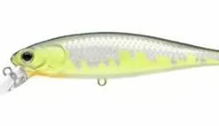 Lucky Craft Pointer 100 SP Jerkbait