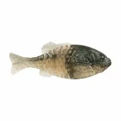 Freshwater Berkley Powerbait Gilly Swimbait 130mm
