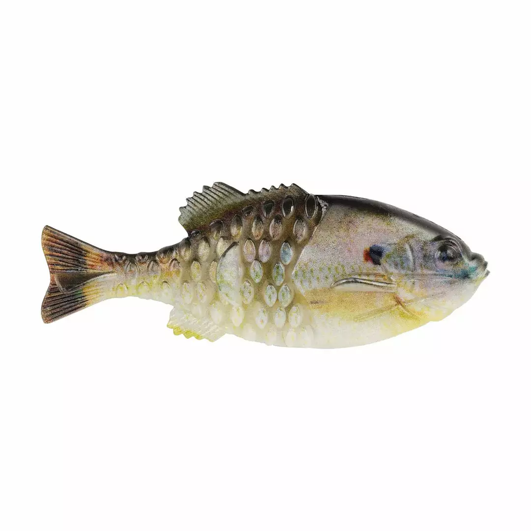 Freshwater Berkley Powerbait Gilly Swimbait 110mm 7 Freshwater Berkley Powerbait Gilly Swimbait 110mm