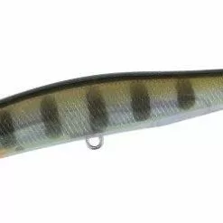 Duo Realis Spinbait 80 G-Fix Freshwater