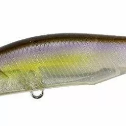 Duo Realis Spinbait 62 Alpha Freshwater
