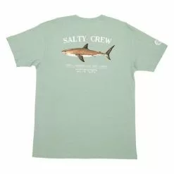 Salty Crew Bruce S/S Premium Tee - Sage Freshwater