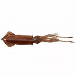 Saltwater Savage Gear 3D Swim Squids