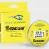 Seaguar Invizx Fluorocarbon Line 2 Seaguar Invizx Fluorocarbon Line