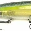 Strike King KVD Sexy Dawg Topwater