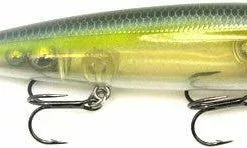 Strike King KVD Sexy Dawg Topwater