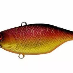 Jackall TN 70 Disk Knocker Lipless Crankbait Freshwater