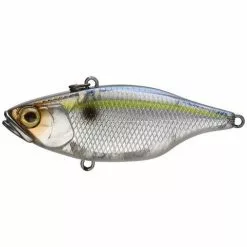 Jackall TN 70 Disk Knocker Lipless Crankbait Freshwater