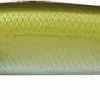 Freshwater Evergreen FA Jerkbaits