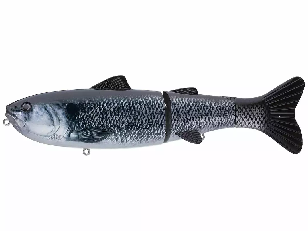 Baitsanity Explorer Glide Gen 2 5 Baitsanity Explorer Glide Gen 2