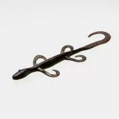 Freshwater Zoom Lizard