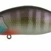 Ima Roumba Crankbait/Wakebait