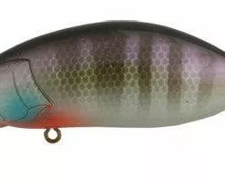 Ima Roumba Crankbait/Wakebait