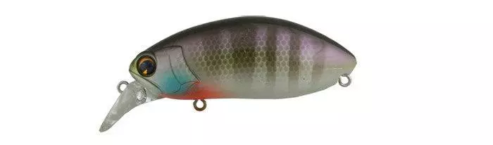 Ima Roumba Crankbait/Wakebait 3 Ima Roumba Crankbait/Wakebait