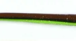 Freshwater Roboworm 6