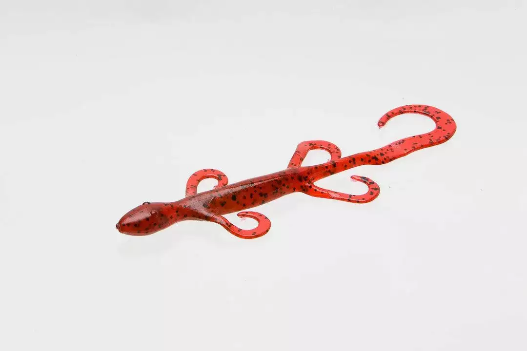 Freshwater Zoom Lizard 13 Freshwater Zoom Lizard