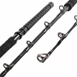 Daiwa Proteus Tuna Special Rail Rod