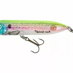 Heddon Super Spook Jr. Top Water Bait 17 Heddon Super Spook Jr. Top Water Bait
