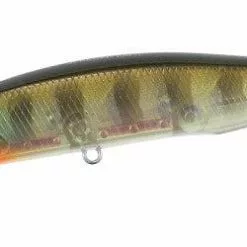 Freshwater Duo Realis Jerkbait 100SP