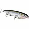 Freshwater Strike King Mega Dawg Topwater Spook 1 Freshwater Strike King Mega Dawg Topwater Spook