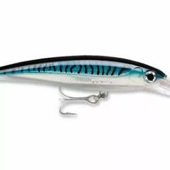 Rapala X-Rap XRMAG-20 Divebait 20'