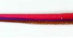 Freshwater Roboworm 6