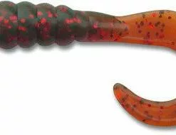 Freshwater Big Hammer Perch Grubs