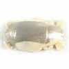 Saltwater Berkley Gulp Sand Crab Flea 1" 2 Saltwater Berkley Gulp Sand Crab Flea 1"