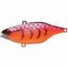 Jackall TN 70 Disk Knocker Lipless Crankbait Freshwater