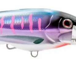 Trolling Lures Nomad Tackle DTX Minnow