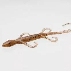 Freshwater Zoom Lizard 21 Freshwater Zoom Lizard