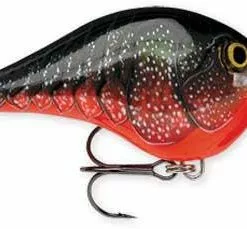 Rapala DT (Dives-To) Crankbait Freshwater
