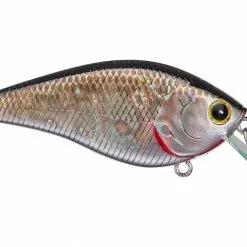 Lucky Craft KJ Flat 1.5 Crankbait