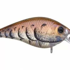 Lucky Craft LC 1.0 Squarebill Crankbait
