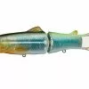 Freshwater Deps Silent Killer 1 Freshwater Deps Silent Killer